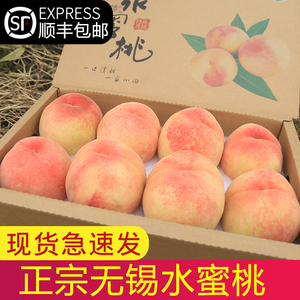 正宗无锡阳市山水蜜桃6两8个礼盒装超大甜桃子新鲜水果湖景白凤软