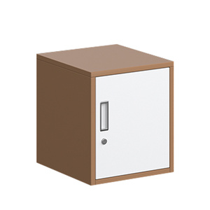 彼特猫食品添加剂专用柜钢制小型办公文件柜定做铁皮矮柜单门小柜