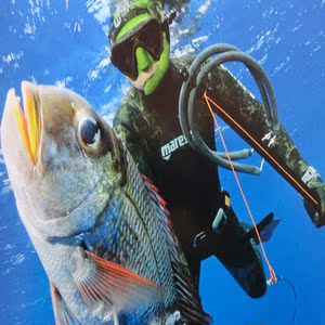 自动鱼枪射鱼器潜水射鱼枪装备专用射鱼箭水下套装捕鱼带线
