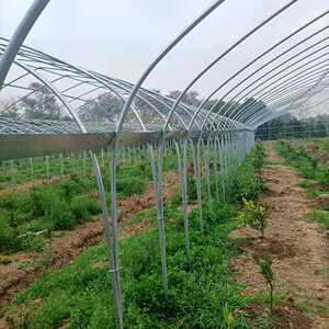 温室骨架配置加厚无滴薄膜种植西瓜草莓肩并肩连体热镀锌钢管大棚