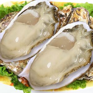 丹东鲜活带壳生蚝特大生吃牡蛎海蛎子新鲜刺身海鲜水产3斤
