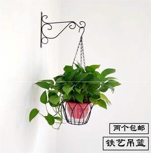 花盆吊架悬挂绿萝