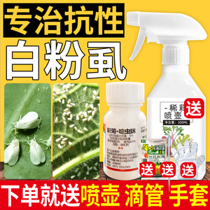 白粉虱特效药农药杀虫药植物花卉杀虫剂高效通用蚜虫家用花草盆栽