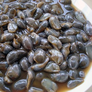 宁波特产海鲜咸泥螺500g宁海野生无沙咸泥螺黄泥螺新鲜腌制大泥螺