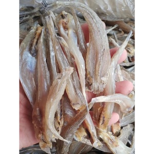 北海特产沙丁鱼干500g沙尖鱼干淡干微咸小鱼干海鲜干货海鱼海