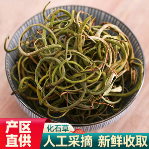 003人付款天猫化石草250g正品天然非猫须草排溶石养