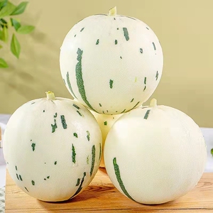 000人付款淘宝日本品种月露流星瓜 网纹哈密瓜甜瓜一藤蜜瓜2个装5.