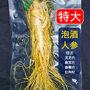 人参10g