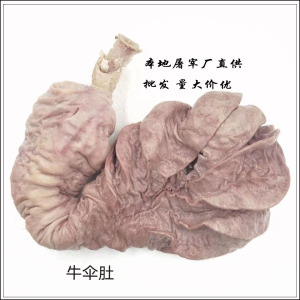 牛散带 新鲜半熟牛伞肚 黄牛牛散带 牛碗口 半熟牛副肚 包邮全国