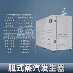 胆式蒸汽发生器燃气模块炉食品加工工业生产大型商用锅炉国标免检