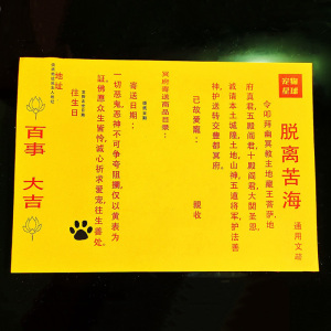 宠物去世祭祀烧纸 送钱疏通表文 猫咪狗狗火化骨灰安葬 头七尾七