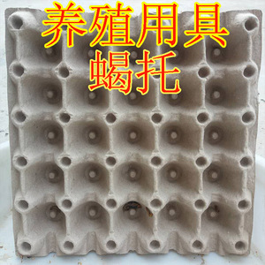 蝎子养殖脱皮器蝎托隔离器蛋托避免残杀器具用具蝎子种苗产子设备