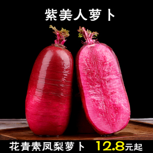 新鲜紫美人凤梨萝卜脆甜心里美蔬菜水果红萝卜生吃泡菜包邮