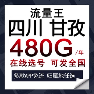 四川省甘孜po收银机流量卡上网纯流量上网卡大黑牛卡电信卡29月租
