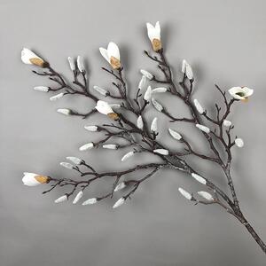 仿真白玉兰枝枯树枝家居婚庆派对玉兰花蕾装饰中式花瓶插花意境美