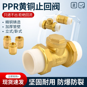 PPR/PE双热熔活接单向卧式逆止黄铜横竖立式自来水管4分6分止回阀