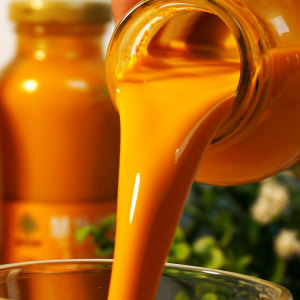 【新疆直发】沙棘原浆官方旗舰店特产大果粉油原汁100沙棘汁