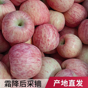 新鲜水果山东烟台红富士苹果当季整箱包邮冰糖心栖霞丑苹果3/5斤