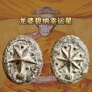 龙婆班神兽崇迪