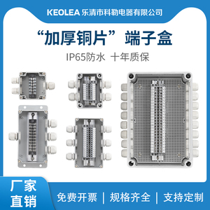 户外防水接线盒带端子 分线盒室外密封监控电缆穿线过电线端子盒