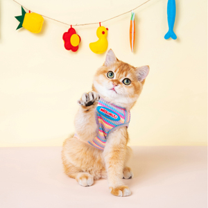猫咪衣服金渐层薄款宠物背心夏天幼猫小猫防掉毛布偶猫夏季猫衣服