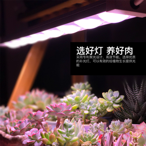 科瑞led植物生长灯全光谱多肉补光灯上色室内雨林缸盆栽微景观灯