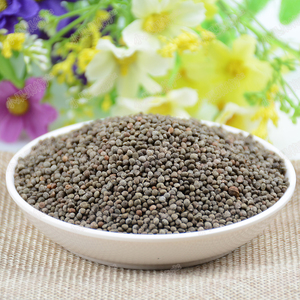 贵州特产苏麻引子