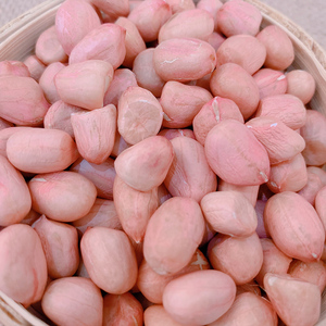 2023年新粉皮花生米生花生新鲜5斤带壳晒干农家自产花生仁下酒菜