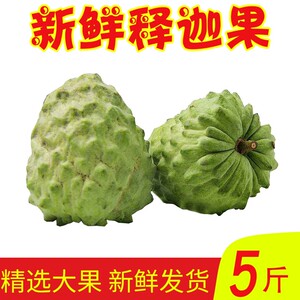 新鲜释咖释迦果非泰国越南红紫伽释红色血菩提林琴林檎小伽罗水果