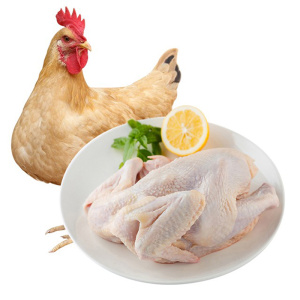 老杜农家土鸡崇明三黄鸡走地鸡鸡肉整只冷冻白条鸡