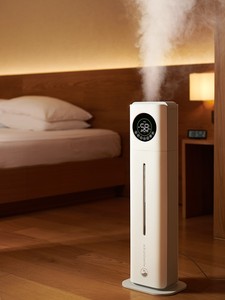 加湿器家用静音卧室内空气孕妇大喷雾机容雾量型