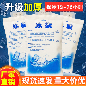 注水干冰袋保鲜冷藏降温冷敷冰敷冰包食品快递干冰袋夏季医用冰袋