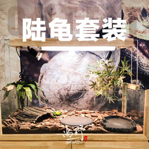 陆龟环境水陆缸饲养套装小苏赫曼豹龟苗景观箱玻璃缸橡木箱套餐