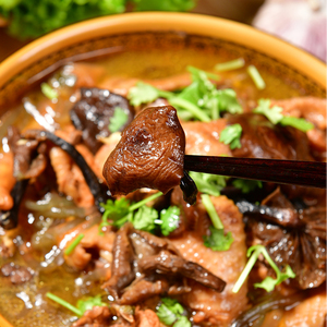 东北长白山特产新鲜特级野生榛蘑丁干货500g农家小鸡炖蘑菇干蘑菇