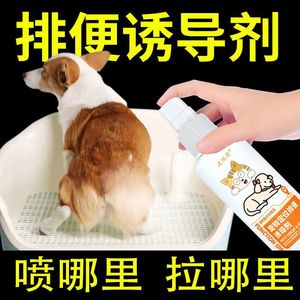 狗定点上厕所神器防猫乱尿小型犬狗狗防乱尿训练宠物狗排便诱导剂