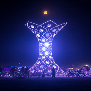 定制厂家户外梦幻大型亮化灯光秀长廊景观灯铁艺莲花灯光节造型灯