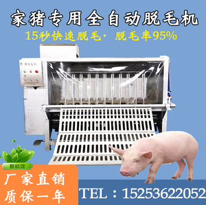 全自动猪脱毛机个体家用生猪打毛褪毛刮毛刨毛不伤猪体屠宰杀猪机