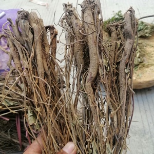 千斤拔干货泡酒贵州纯野生中药材一条根老鼠尾吊马墩金牛尾500g