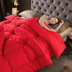 结婚被子喜被加厚冬被新婚嫁妆陪嫁红色被芯春秋被太空被婚庆棉被