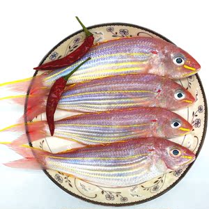 海钓大金线鱼新鲜活冻深海鱼刀鲤鱼海鲜水产非红杉鱼450g/袋4-5条