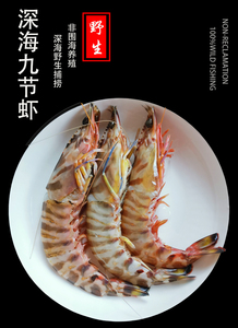 鲜斑节九节虾花