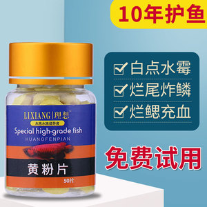 黄粉鱼药日本黄粉片水族鱼专用杀菌水霉病白点净烂身烂尾疾病治疗