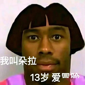 501人付款淘宝玩梗蚊子,爱探险的朵拉, 瞎眼猴子 捣蛋鬼tb