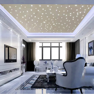 星空顶满天星天花板奶茶店儿童乐园酒吧ktv简约现代家装吊顶led灯