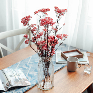 天然真花小米花干花小清新北欧家居民宿装饰花永生花手工diy材料