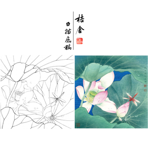 工笔画临摹画稿李晓明