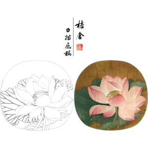 【有步骤】李晓明工笔画白描底稿出水芙蓉图宋画小品原大35*37厘米宋