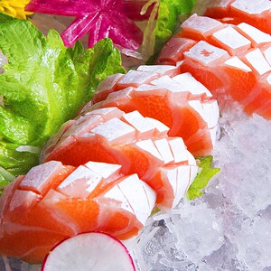 法罗群岛冰鲜三文鱼新鲜刺身生鱼片高脂鱼腩即食刺身海鲜 三文鱼