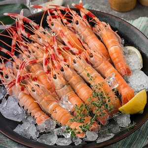 舟山海鳌虾螯虾深海小龙虾新鲜船冻海鲜东海水产甜虾刺身生吃