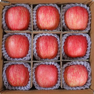 现摘陕西精品红富士大个五斤脆甜苹果冰糖心新鲜水果整箱10斤包邮
